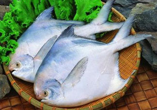 蠶豆和魚能一起吃嗎？蠶豆和魚吃相克嗎？