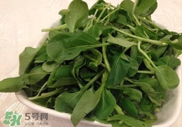 雞毛菜怎么做？雞毛菜的做法