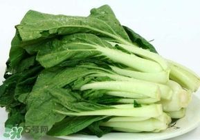 雞毛菜怎么做？雞毛菜的做法