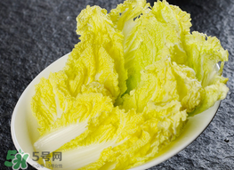 蠶豆和白菜能一起吃嗎？白菜和蠶豆能在一起吃嗎？