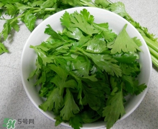芹菜葉怎么吃？芹菜葉吃法