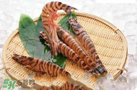 蝦爬子怎么扒皮？蝦爬子怎么剝殼？