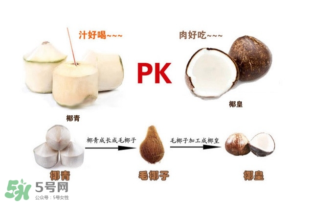 椰子怎么打開？椰子殼怎樣打開