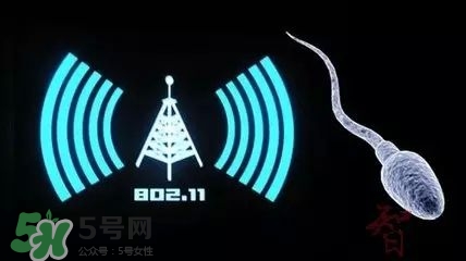 wifi殺精嗎？wifi殺精是真的嗎？