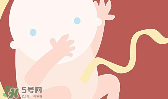 胎兒發(fā)育關(guān)鍵時(shí)期是什么時(shí)候？胎兒發(fā)育黃金期