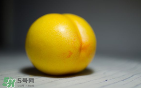 黃金油桃多少錢一斤？黃金油桃什么時候成熟？