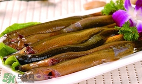 怎么處理泥鰍？泥鰍怎么處理干凈
