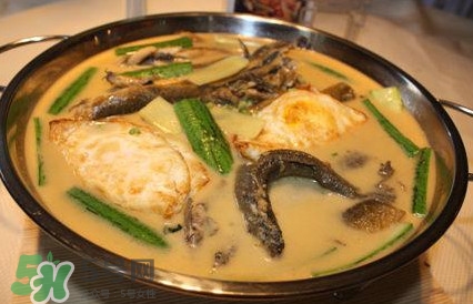 泥鰍是魚嗎？泥鰍是海鮮嗎