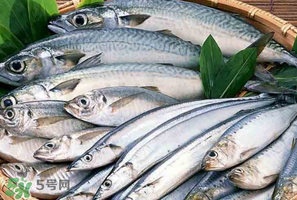 2017鲅魚多少錢一斤？鲅魚多少錢一斤2017？