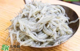 銀魚是面條魚嗎？面條魚和銀魚的區(qū)別