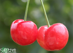 櫻桃籽有毒嗎？櫻桃籽能吃嗎？