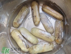 怎么樣讓蟶子吐沙？如何讓蟶子吐沙
