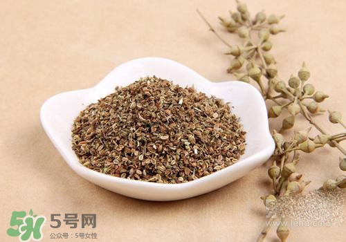 吃中藥可以吃魚(yú)？吃中藥吃魚(yú)會(huì)怎么樣？