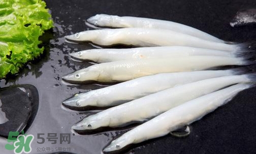 面條魚(yú)有刺嗎？面條魚(yú)有鱗嗎