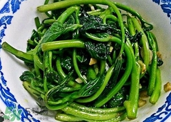 苕尖怎么摘？苕尖怎么擇
