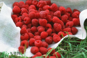 刺泡怎么保存？刺泡保存方法