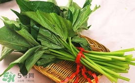 苕尖怎么炒？苕尖的做法