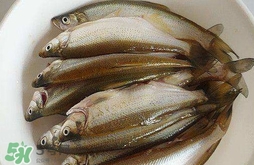 白條魚怎么做好吃？白條魚怎么吃好吃