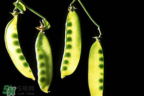 嫩豌豆能生吃嗎？為什么嫩豌豆可以生吃？