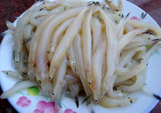 面條魚如何保存？面條魚怎么保存