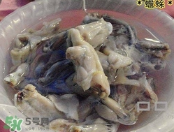 癩蛤蟆能吃嗎？癩蛤蟆可以吃嗎