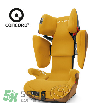 concord中文是什么？concord的中文名字怎么翻譯？