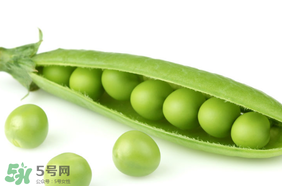 生豌豆有毒嗎？豌豆生吃有毒嗎？