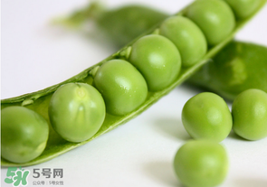 生豌豆有毒嗎？豌豆生吃有毒嗎？