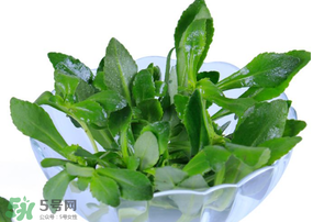 救心菜有毒嗎？救心菜怎么吃沒毒？