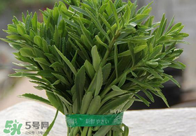 救心菜有毒嗎？救心菜怎么吃沒毒？
