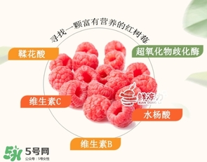 樹(shù)莓可以生吃嗎？樹(shù)莓怎么吃？