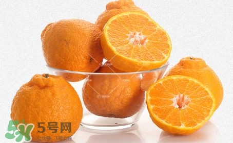 丑八怪水果多少錢一斤？不知火雜柑一斤多少錢