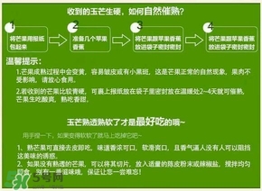 貴妃芒果硬的能吃嗎？貴妃芒果青的能吃嗎