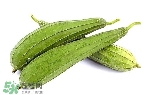 孕婦能吃絲瓜嗎？孕婦能不能吃絲瓜