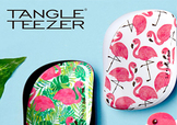 tangle teezer火烈鳥(niǎo)梳子多少錢(qián)？tangle teezer和skinnydip合作梳