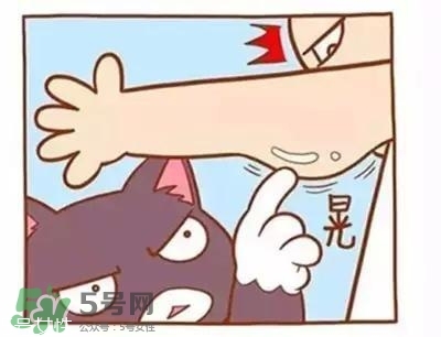 天鵝臂是什么？天鵝臂有用嗎