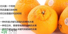 丑八怪水果多少錢一斤？不知火雜柑一斤多少錢