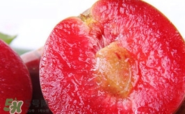 三華李什么時(shí)候上市？三華李什么時(shí)候成熟