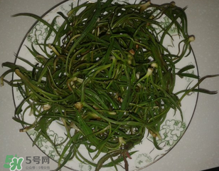 陽溝菜孕婦可以吃嗎？孕婦能吃陽溝菜嗎？
