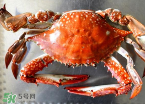 六月份有螃蟹嗎？六月份吃什么螃蟹？