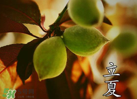立夏吃什么水果？立夏吃什么水果好？