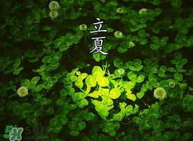 立夏吃什么水果？立夏吃什么水果好？