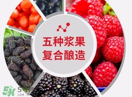 樹莓可以泡酒嗎？樹莓怎么泡酒？