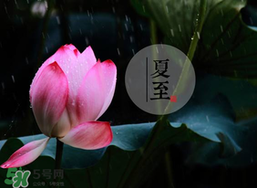 立夏和夏至有什么區(qū)別？立夏和夏至的區(qū)別