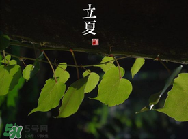 2017年立夏會下雨嗎？2017年立夏下雨好嗎？