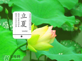 2017年立夏會下雨嗎？2017年立夏下雨好嗎？