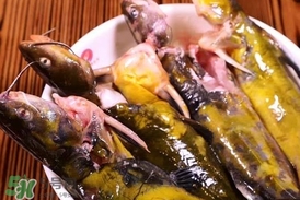 嘎魚孕婦能吃嗎？孕婦可以吃嘎魚嗎