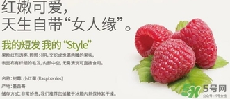 樹莓可以放冰箱嗎？樹莓可以保存幾天