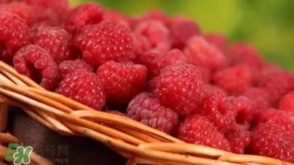 樹(shù)莓可以直接吃嗎？樹(shù)莓里的小籽能吃嗎？
