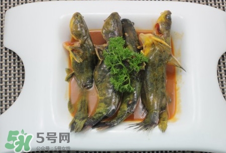 嘎魚(yú)不適合什么人吃？黃顙魚(yú)不適合什么人吃